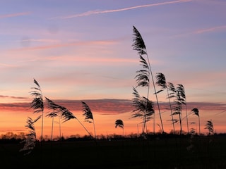 Sonnenuntergang am Haus