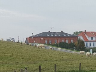 Rückansicht des Packhauses