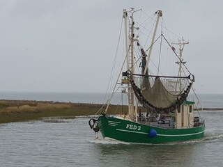 Der Kutter Seestern bei der Einfahrt in den Hafen