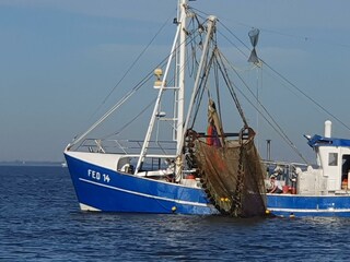 Die Heimat bei der Arbeit