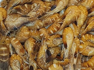 Granat, die Delikatesse aus der Nordsee