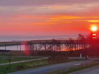 Sonnenaufgang über dem Yachthafen
