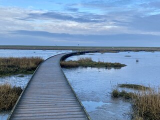 Langwarder Groden_Ansicht1