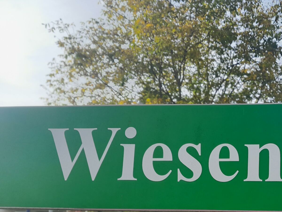 Wiesenweg 1