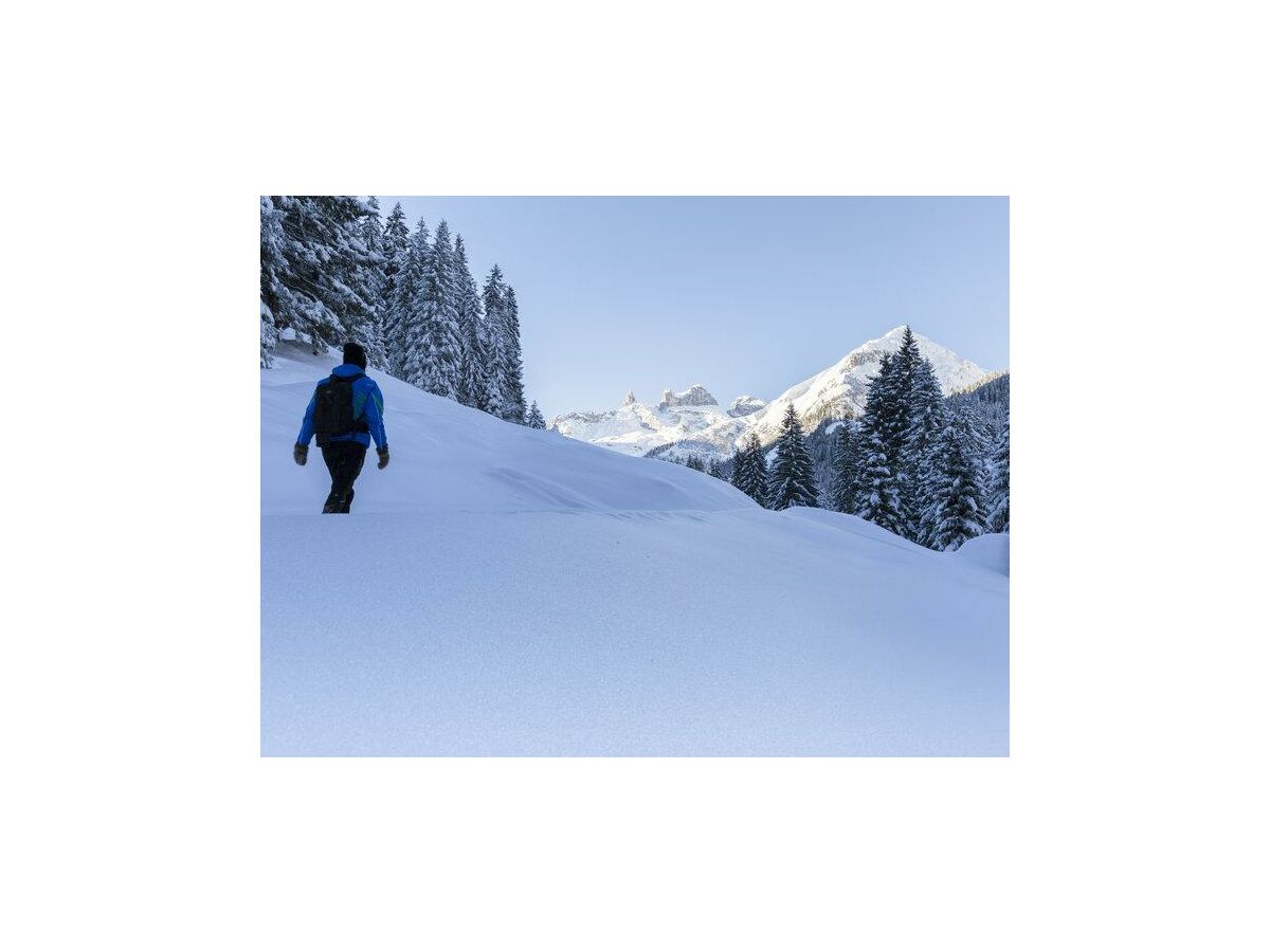 Winterwanderung im Gauertal