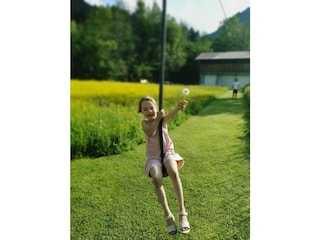 Gorillarutsche 2022-1