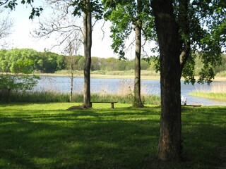 Idyllischer-Badesee-2-km