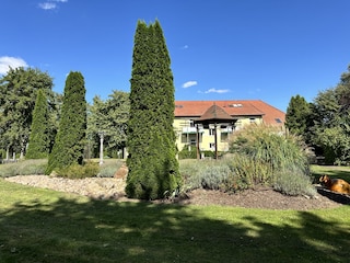 8.000 m² Grundstück