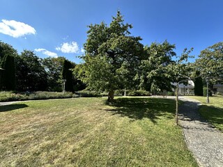 Garten mit 8.000 m² Grundstück