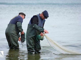 Fischer bei der Arbeit