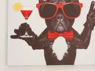 Appartamento per vacanze Carolinensiel Caratteristiche 14