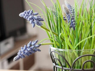 Appartamento per vacanze Carolinensiel Registrazione all'aperto 3