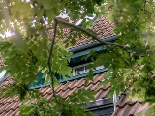Apartamento de vacaciones Carolinensiel Grabación al aire libre 2
