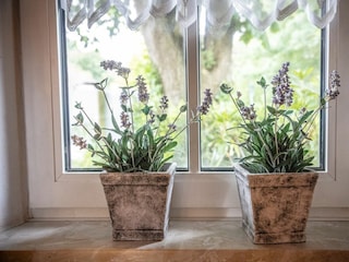 Maison de vacances Wangerland Équipement 9