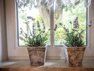 Vakantiehuis Wangerland Kenmerken 9