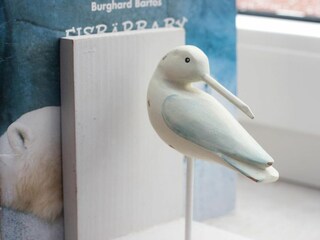 Appartamento per vacanze Altfunnixsiel Caratteristiche 3