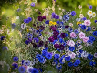 Appartamento per vacanze Carolinensiel Ambiente 13