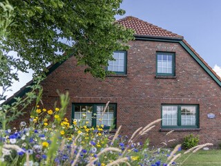 Ferienwohnung Carolinensiel Außenaufnahme 2