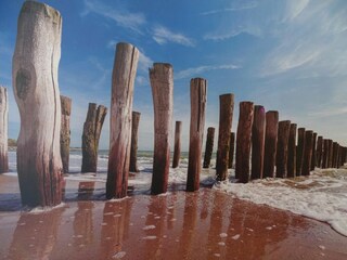 Appartamento per vacanze Carolinensiel Ambiente 24