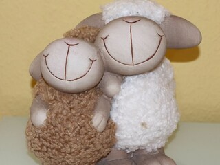 Casa per le vacanze Altfunnixsiel Caratteristiche 4