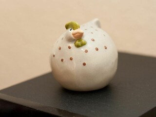 Appartamento per vacanze Carolinensiel Caratteristiche 10