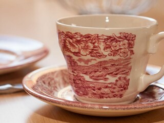 Appartamento per vacanze Carolinensiel Caratteristiche 9