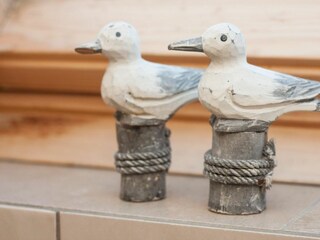 Casa per le vacanze Wangerland Caratteristiche 13