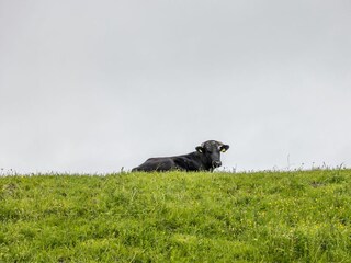 Casa per le vacanze Wangerland Ambiente 14