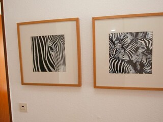 Casa per le vacanze Carolinensiel Caratteristiche 18