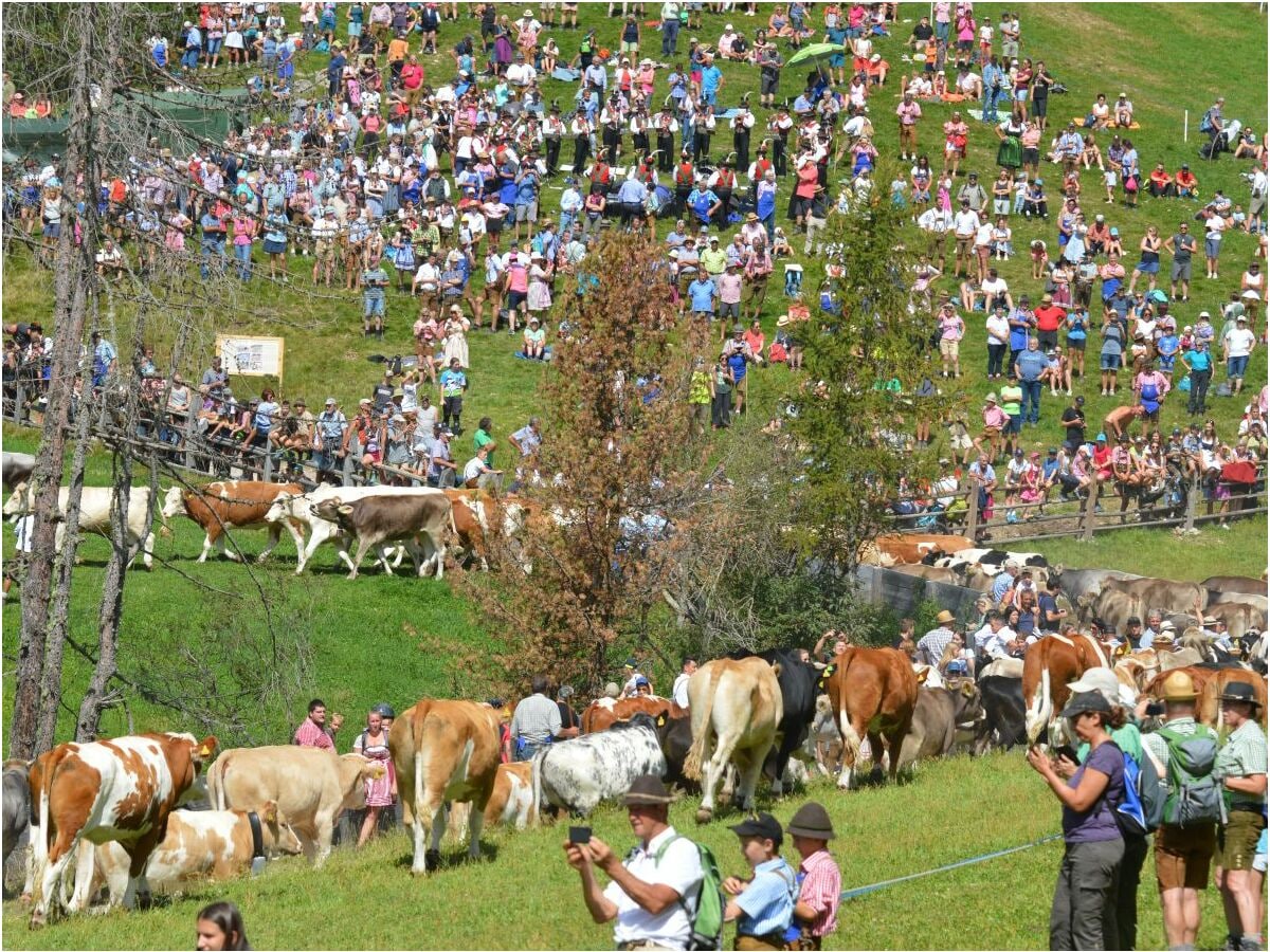 Almfest Barthlmä