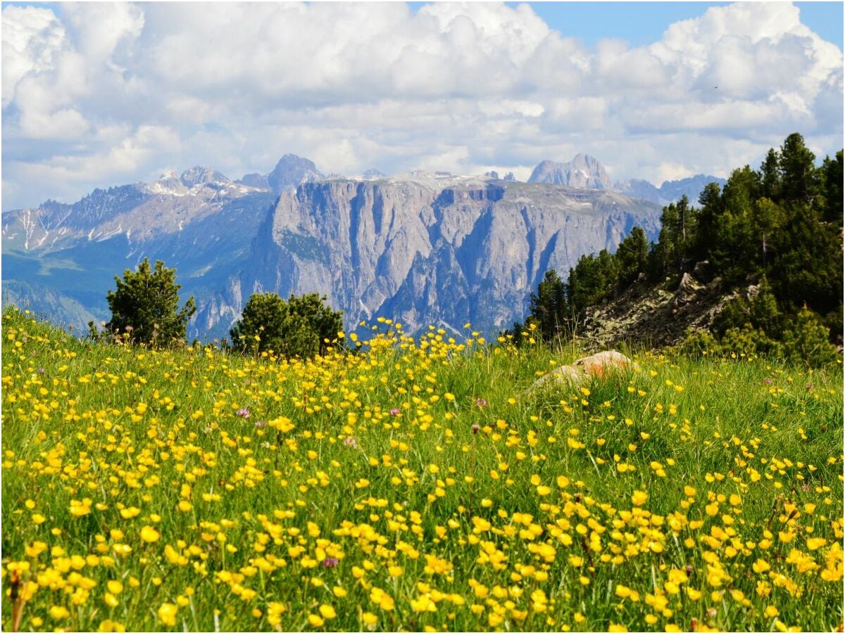 Bergwandern auf das Rittner Horn