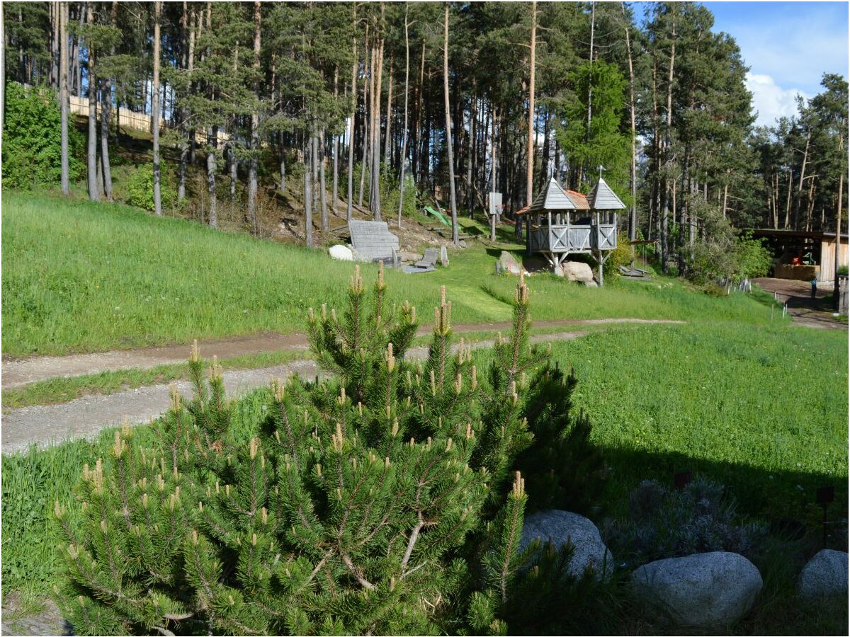 Blick zum Waldspielplatz