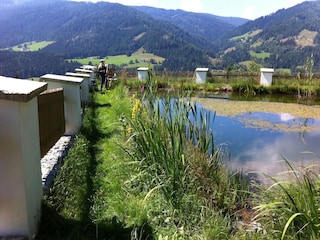 Schwimmteich