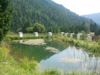Schwimmteich