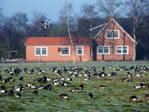 Ferienwohnung Naturblick-Hatzum 1 - Hatzum - image1