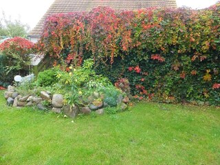 Vakantieappartement Born an der Darß Buitenaudio-opname 4