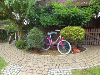 Apartamento de vacaciones Born an der Darß Grabación al aire libre 5