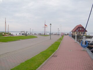 Vakantieappartement Born an der Darß Omgeving 15