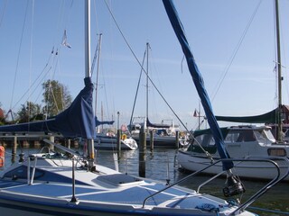 Apartamento de vacaciones Born an der Darß Entorno 17