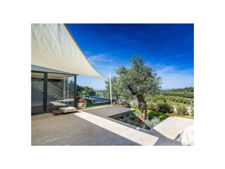 Villa Momjan Registrazione all'aperto 6