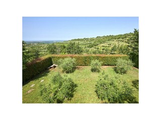 Villa Momjan Registrazione all'aperto 11