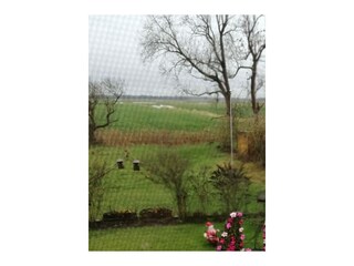 Ausblick in den Hamrich