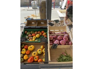 Holiday house Gruissan Environment 31