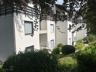 Blick in den schönen Garten