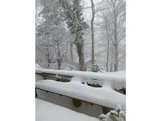 Verschneite Fichten und Raureif im Winternebel