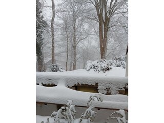 Tannenzweige im dichten Schneetreiben