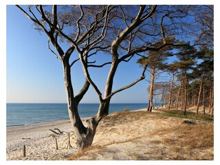 Weststrand