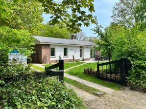 Ferienhaus 't Stekje - Renesse - image1