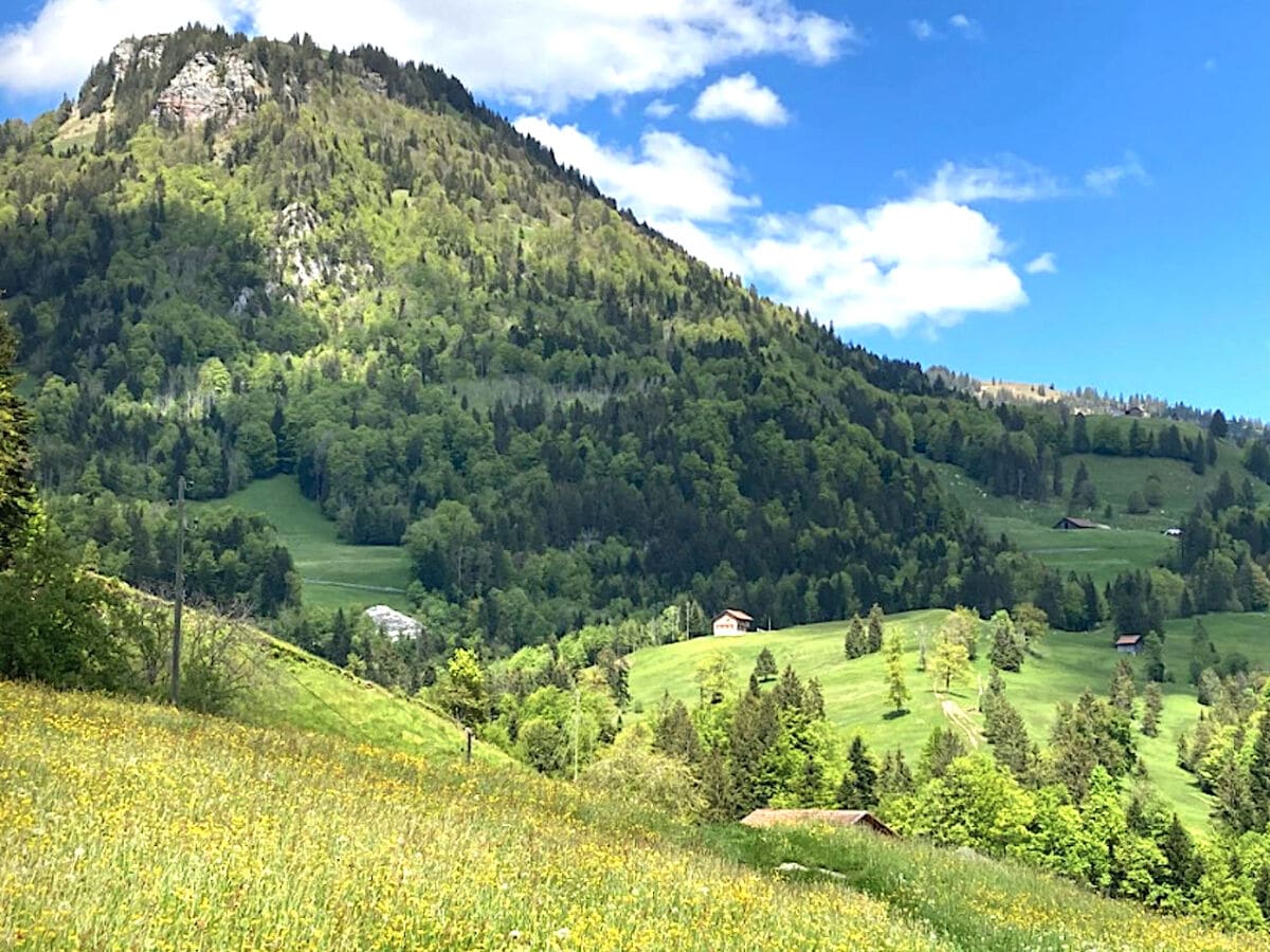 Haus in unberührter Natur