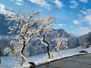 Winter_Unterhachl_alpbachtal_Breitenbach1